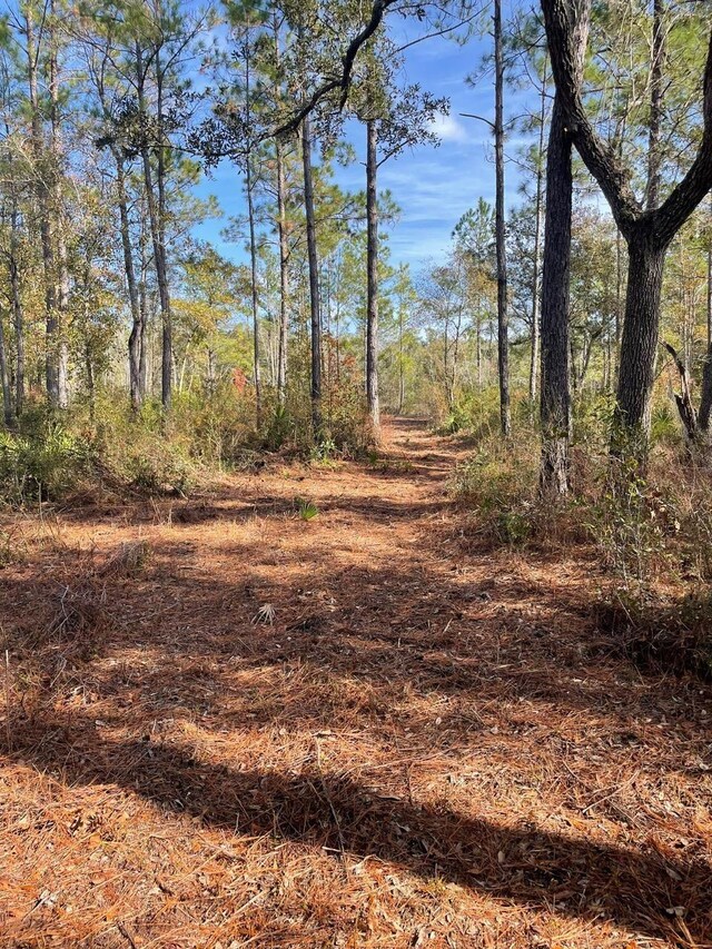 XX Kathy Ann Dr, Crawfordville, FL 32327 - photo 16