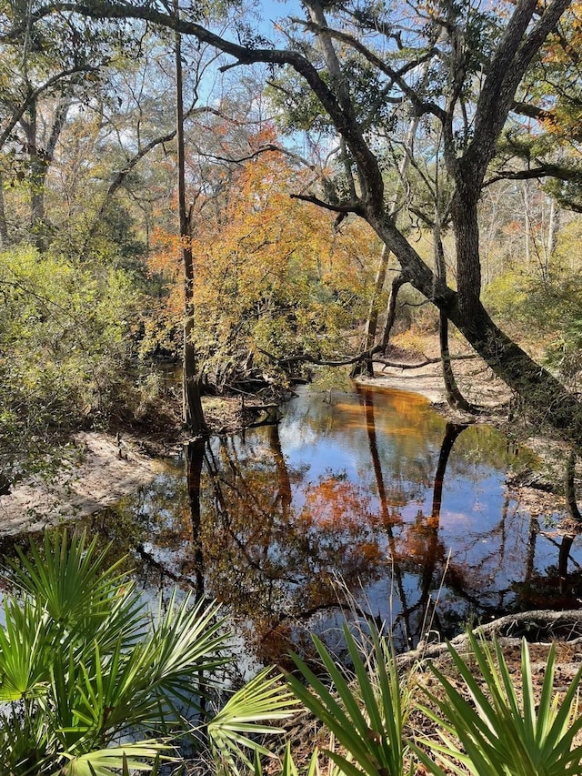 XX Kathy Ann Dr, Crawfordville, FL 32327 - photo 15