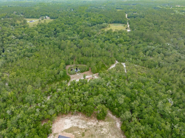 XX Kathy Ann Dr, Crawfordville, FL 32327 - photo 9