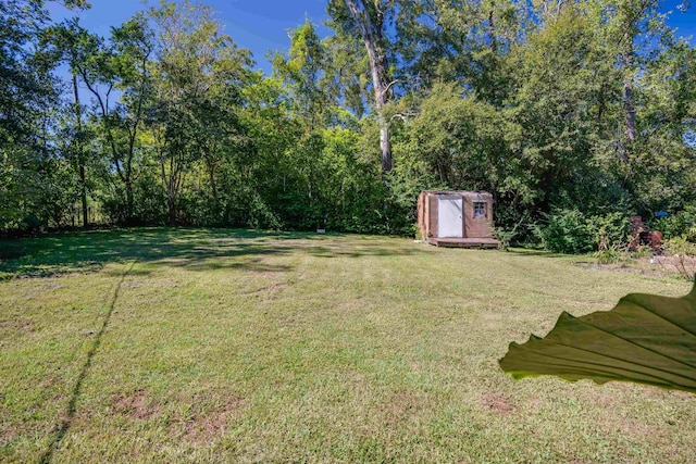 view of yard featuring a storage unit