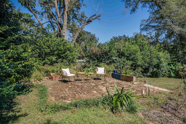 view of yard with a patio