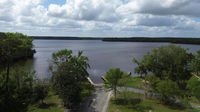 1034 Williams Landing Rd, Tallahassee, FL 32310 - photo 3