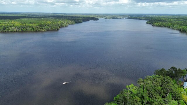 1034 Williams Landing Rd, Tallahassee, FL 32310 - photo 4