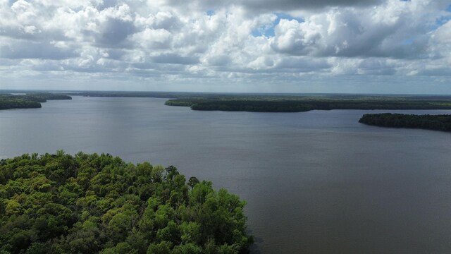 1034 Williams Landing Rd, Tallahassee, FL 32310 - photo 2