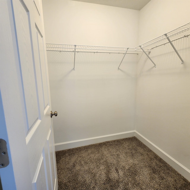 spacious closet with carpet floors