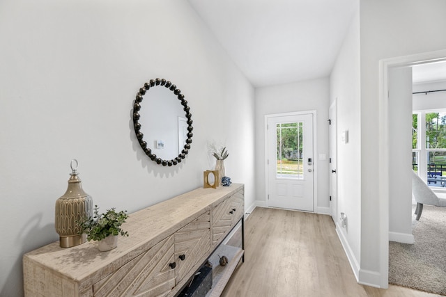 entryway with a wealth of natural light and light hardwood / wood-style flooring