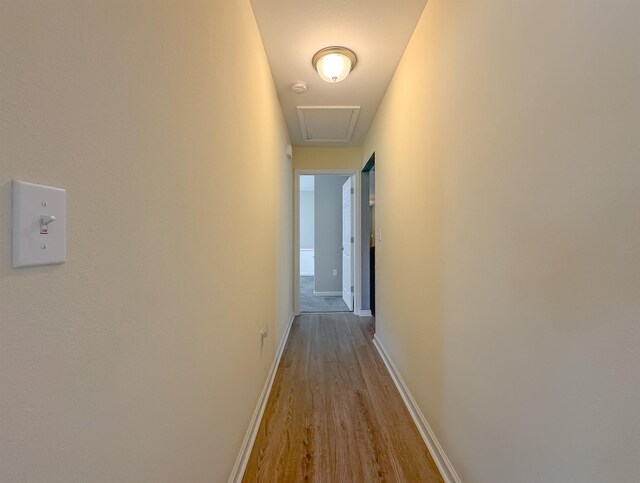 4641 Rivers Landing Way, Tallahassee, FL 32303 - hall with wood finished floors and baseboards