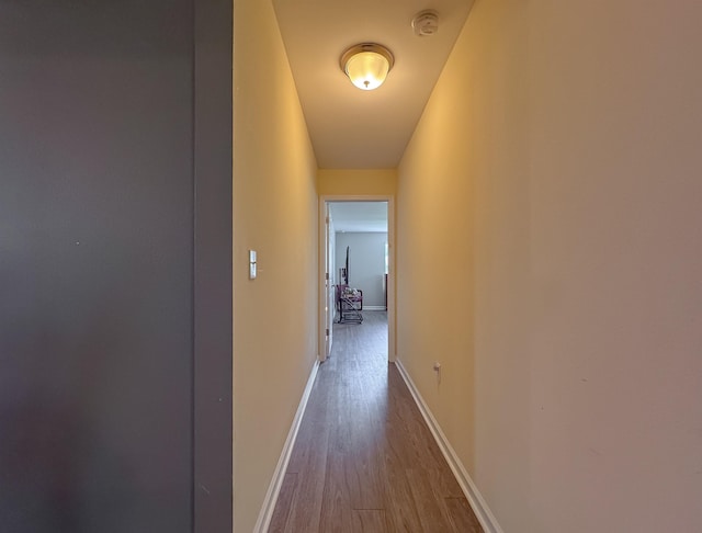 4641 Rivers Landing Way, Tallahassee, FL 32303 - corridor with wood finished floors and baseboards
