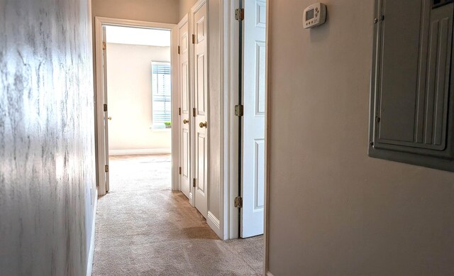 3320 Sugar Berry Way, Tallahassee, FL 32303 - hall with baseboards and light carpet