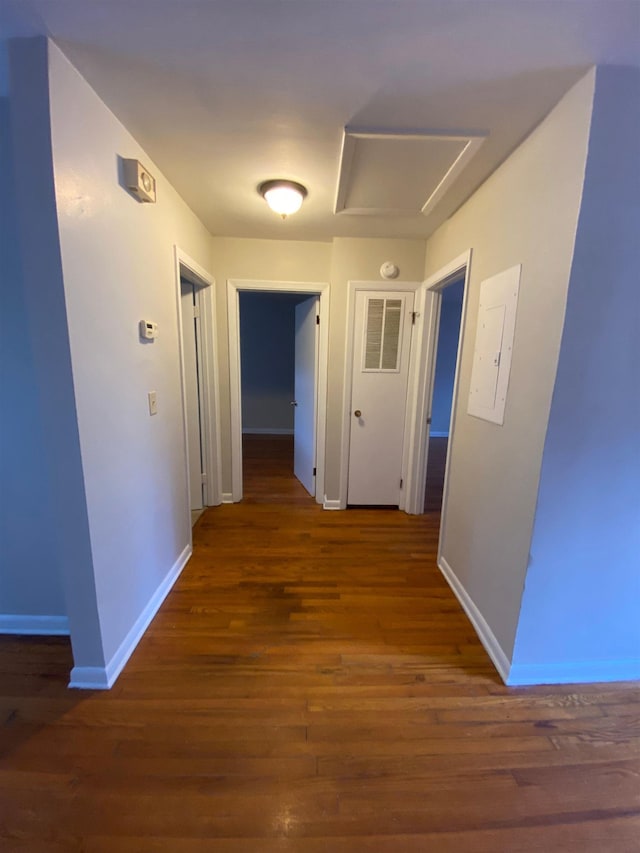 hall with electric panel and dark hardwood / wood-style floors