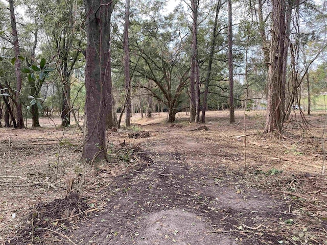 2331 Trimble Rd, Tallahassee, FL 32304 - photo 14