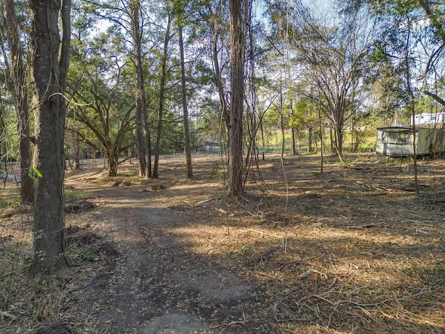 2331 Trimble Rd, Tallahassee, FL 32304 - photo 3
