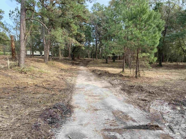 2331 Trimble Rd, Tallahassee, FL 32304 - photo 13