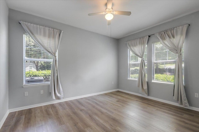 2801 Chancellorsville Dr Unit 1217, Tallahassee, FL 32312 - empty room featuring healthy amount of natural light, wood finished floors, and ceiling fan