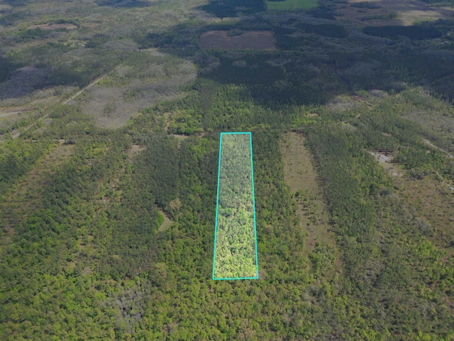 TBD SW Paradise Way, Greenville FL, 32331 land for sale