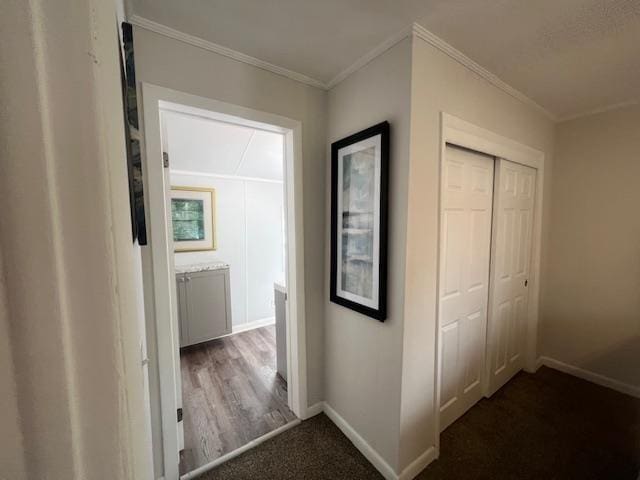 corridor featuring hardwood / wood-style floors and crown molding