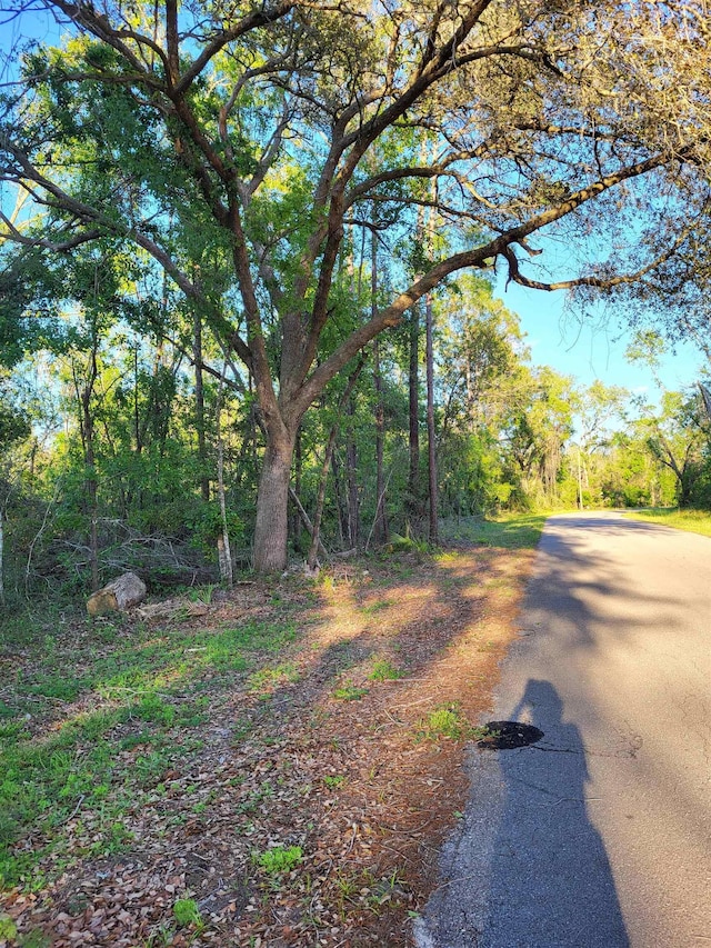 Listing photo 2 for LOT85, 86 Canopy Ln, Perry FL 32347