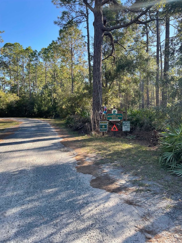 Listing photo 2 for XX Buckhorn Creek Rd, Sopchoppy FL 32358