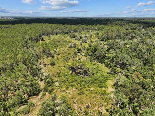 5582 H P Padgett Rd, Perry, FL 32348 - photo 10