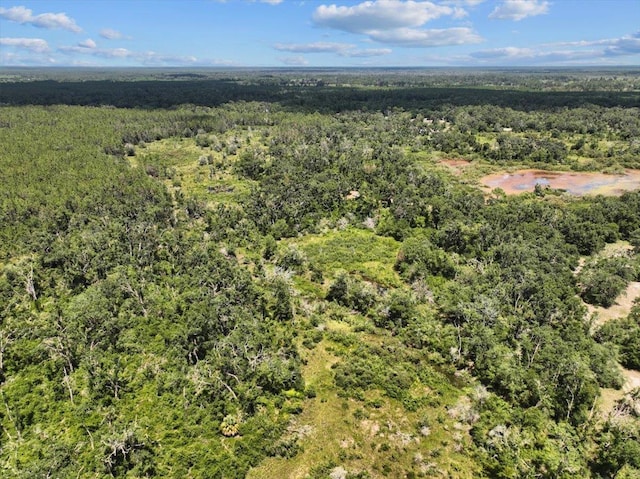 5582 H P Padgett Rd, Perry, FL 32348 - photo 9