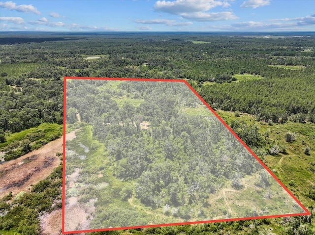 5582 H P Padgett Rd, Perry, FL 32348 - photo 1