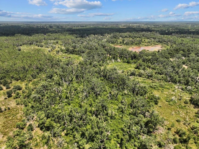 5582 H P Padgett Rd, Perry, FL 32348 - photo 11