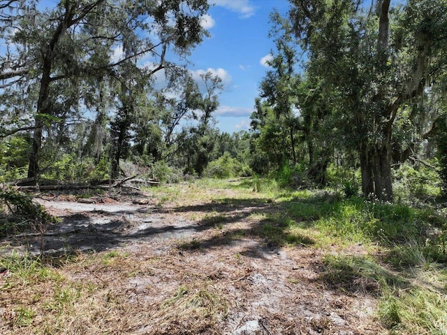 5582 H P Padgett Rd, Perry, FL 32348 - photo 4