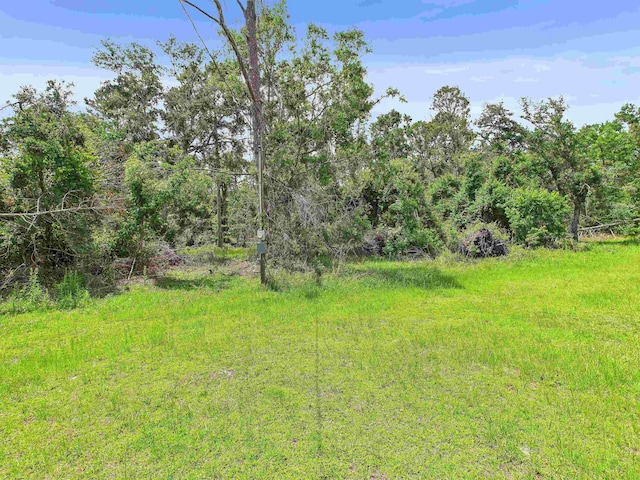 00 Beach Rd, Perry, FL 32348