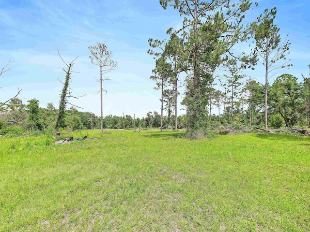 00 Beach Rd, Perry, FL 32348
