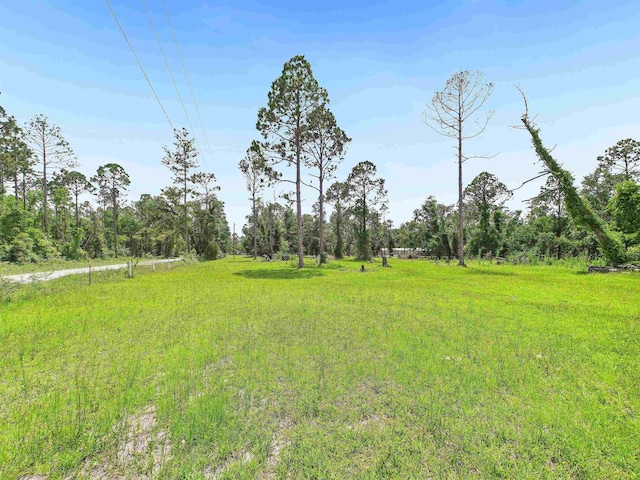 00 Beach Rd, Perry, FL 32348