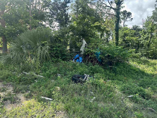 1107 Vaughn Ln, Steinhatchee, FL 32359