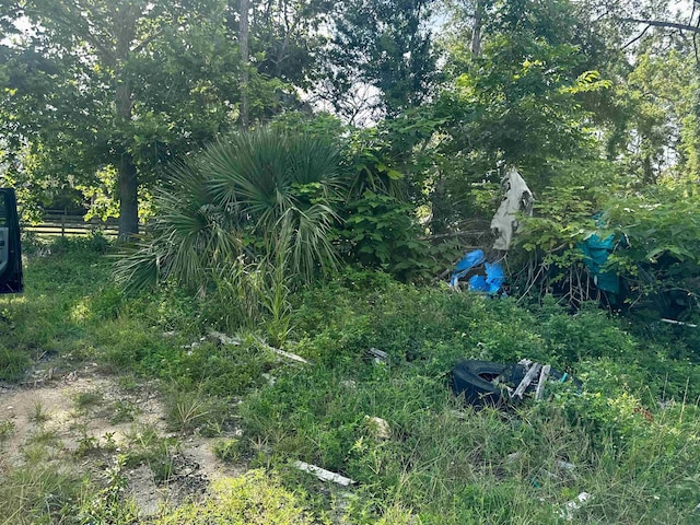 1107 Vaughn Ln, Steinhatchee, FL 32359