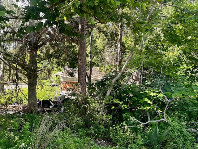 1107 Vaughn Ln, Steinhatchee, FL 32359