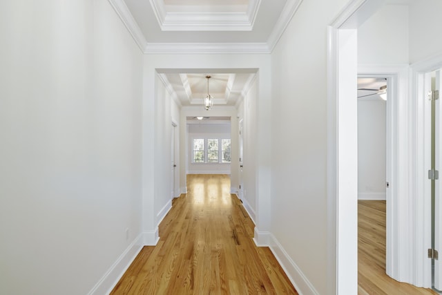 hall with ornamental molding, a tray ceiling, and light wood-type flooring