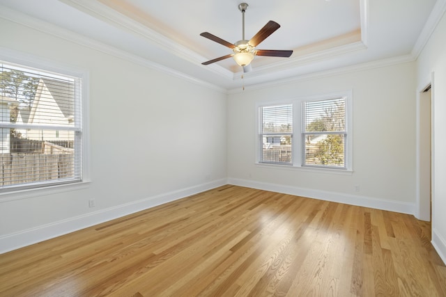 spare room featuring a tray ceiling, light wood-type flooring, and a wealth of natural light