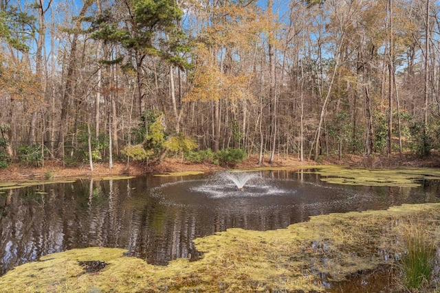 134 Meadow Wood Ct, Tallahassee, FL 32312 - photo 4