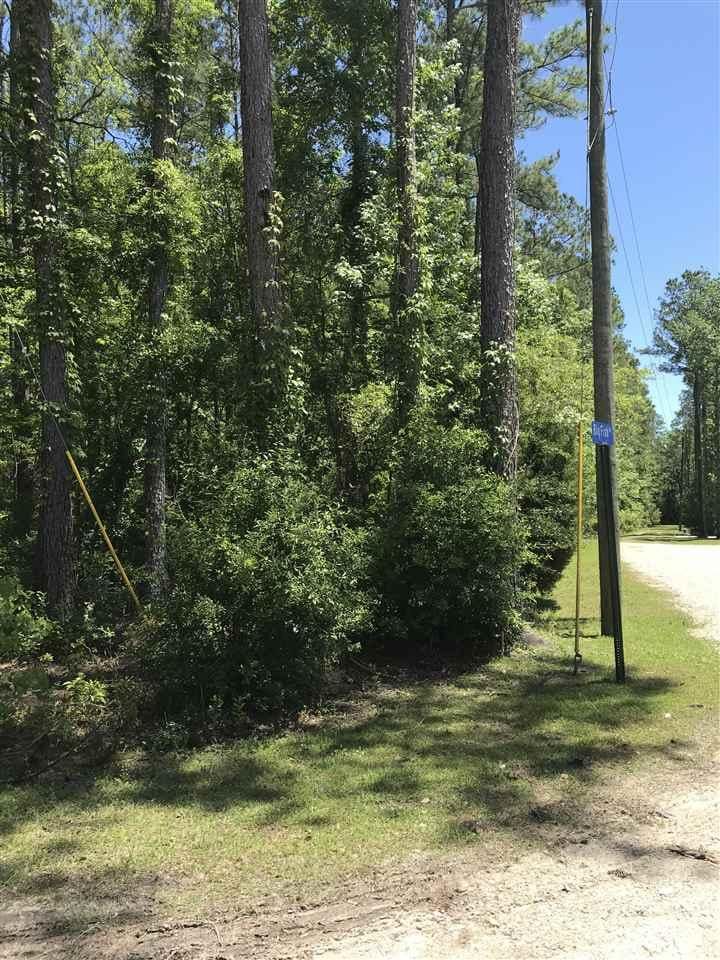 XX Big Fish Dr, Sopchoppy, FL 32358 - photo 3