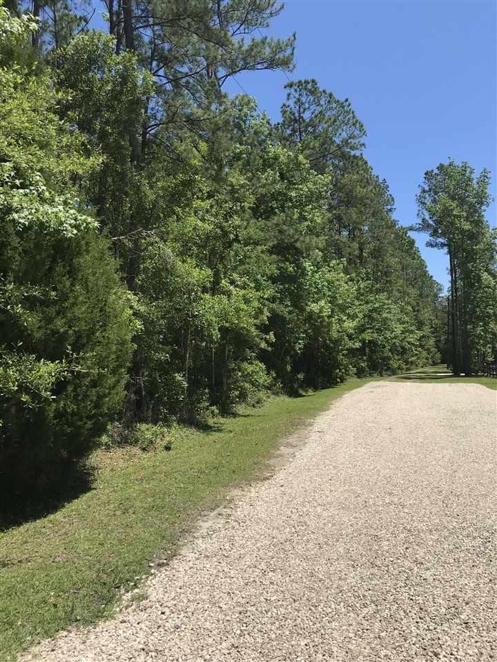 XX Big Fish Dr, Sopchoppy, FL 32358 - photo 4