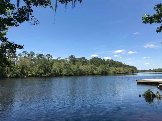 XX Big Fish Dr, Sopchoppy FL, 32358 land for sale