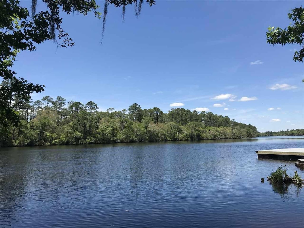 XX Big Fish Dr, Sopchoppy, FL 32358 - photo 1