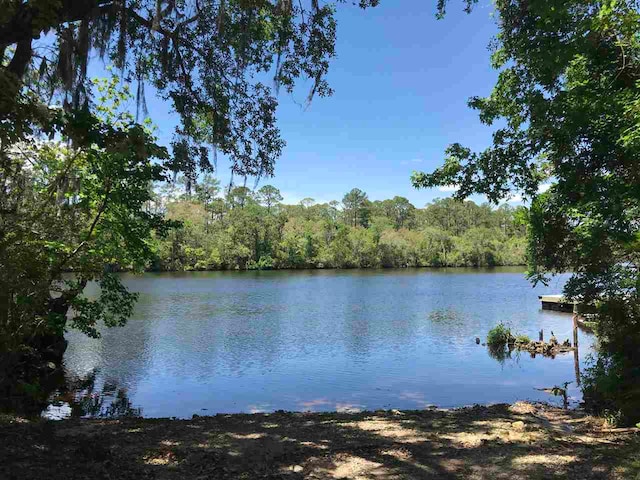 Listing photo 2 for XX Big Fish Dr, Sopchoppy FL 32358