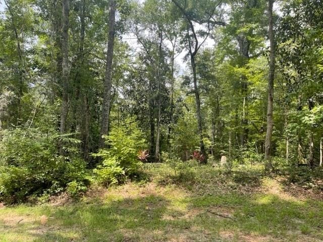 Listing photo 3 for LOT14 Crestwood Dr, Tallahassee FL 32311