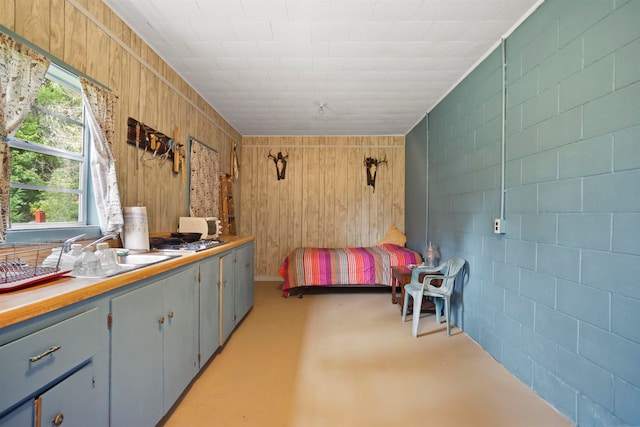 bedroom featuring wood walls and sink