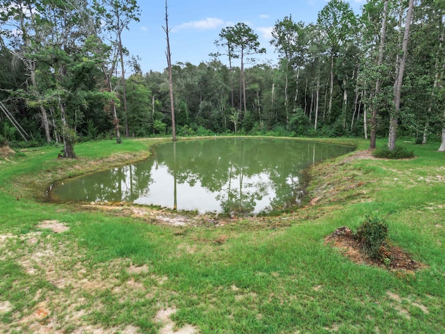 view of water feature