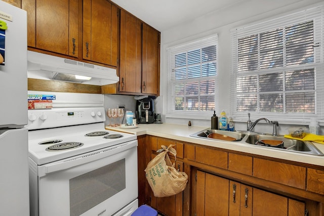 kitchen with under cabinet range hood, white appliances, a sink, light countertops, and brown cabinetry