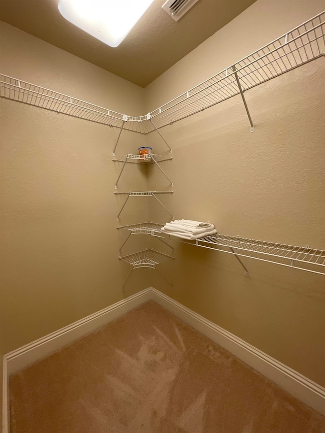 walk in closet featuring carpet floors