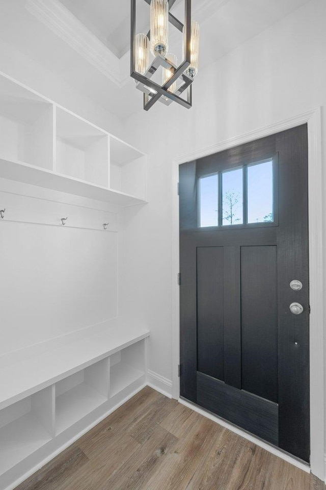 mudroom with wood-type flooring