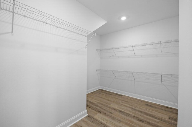 spacious closet with hardwood / wood-style floors