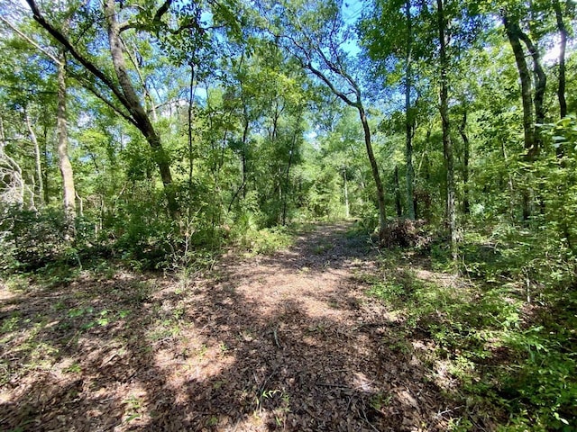 1069 N Salt Rd, Monticello, FL 32344 - photo 30