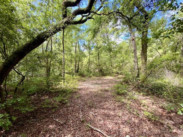 1069 N Salt Rd, Monticello, FL 32344 - photo 15